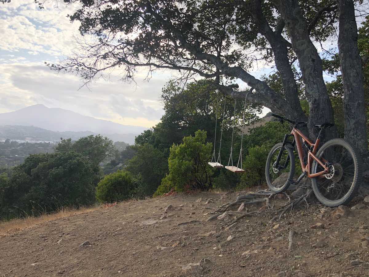 bikerumor pic of the day mountain bike at China Camp State Park in Marin county, california, looking out to mt. Tamalpais as it sits under a tree with two swings on it.