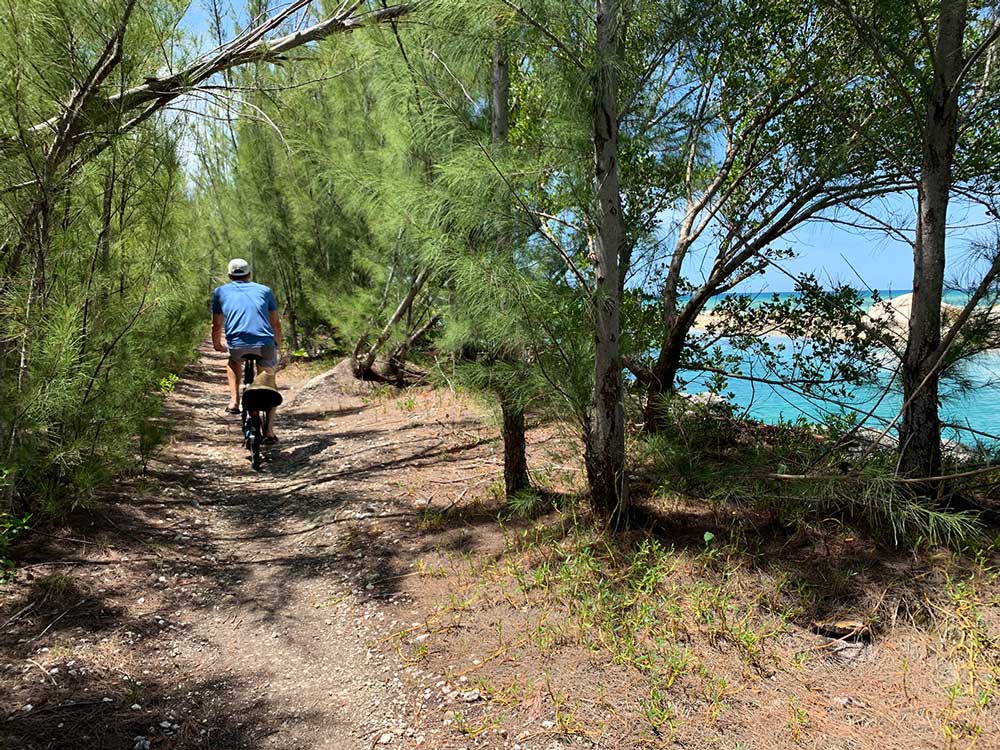 hidden path to the beach in grand bahama