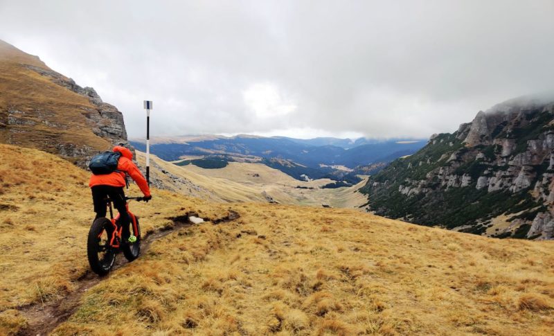 bikerumor pic of the day mountain bike rider on fat bike starting a descent in golden field at top of Omu Peak in romania.
