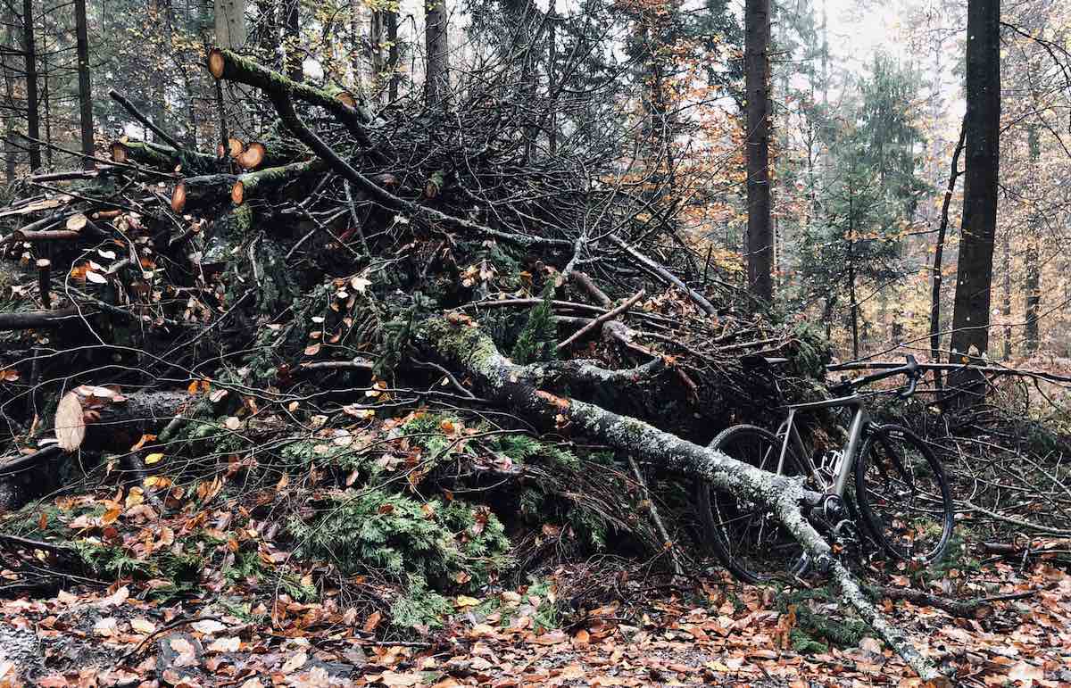 bikerumor pic of the day camo painted bicycle leaning up against a pile of cut tree limbs in the forest in ljubljana, slovenia.