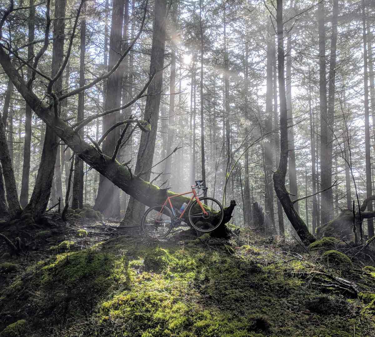 bikerumor pic of the day bicycle sitting atop mossy hill with sun rays coming through the trees above, mount constitution orcas island washington state.