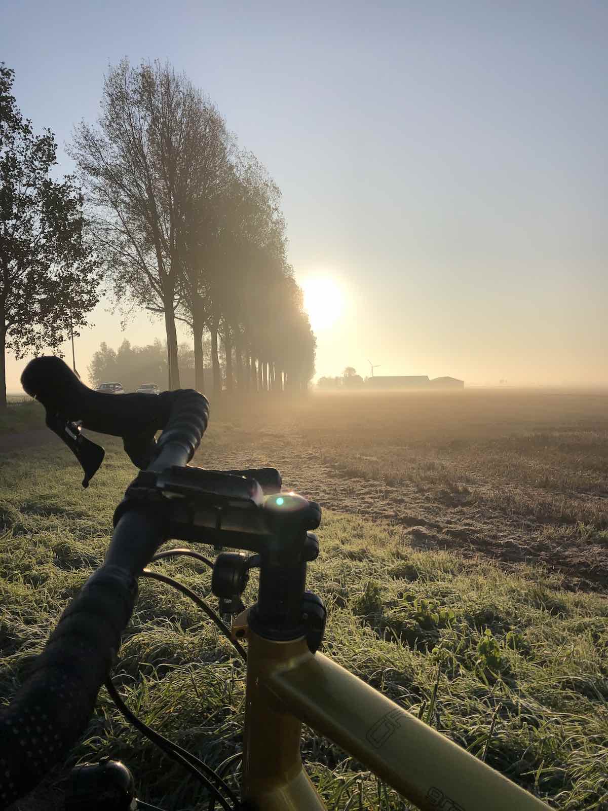 bikerumor pic of the day bicycle in Haarlemmermeer in the Netherlands, tall trees on the left with the morning sun peeking out behind them.