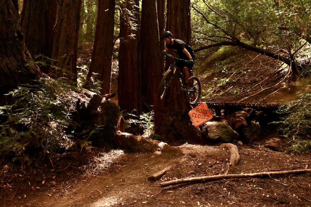 bikerumor pic of the day mountain biker catching air riding down a redwood forest in santa cruz mountains.