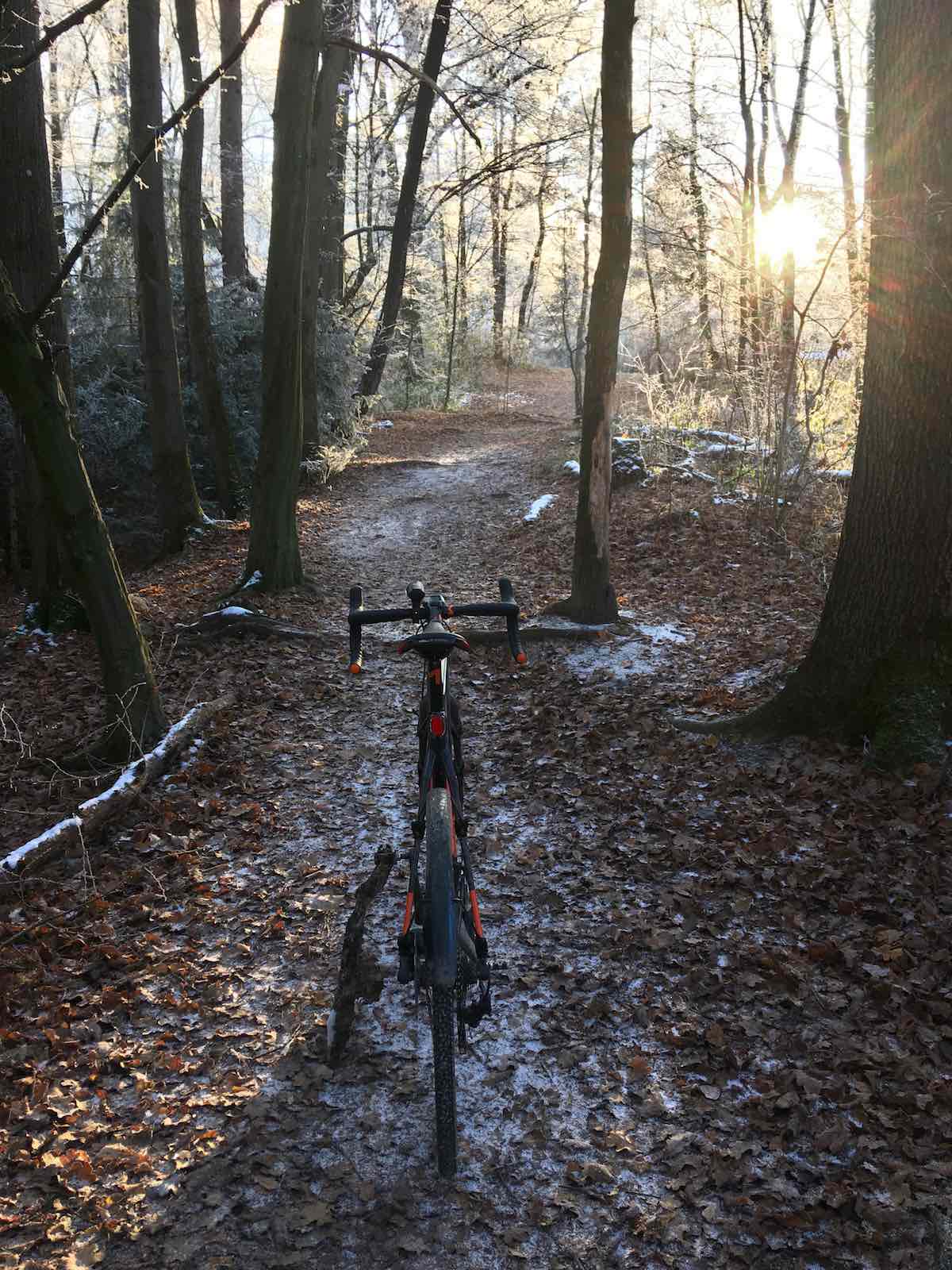 bikerumor pic of the day trail riding in munich bavaria germany in the forest with the winter sun peeking through the trees