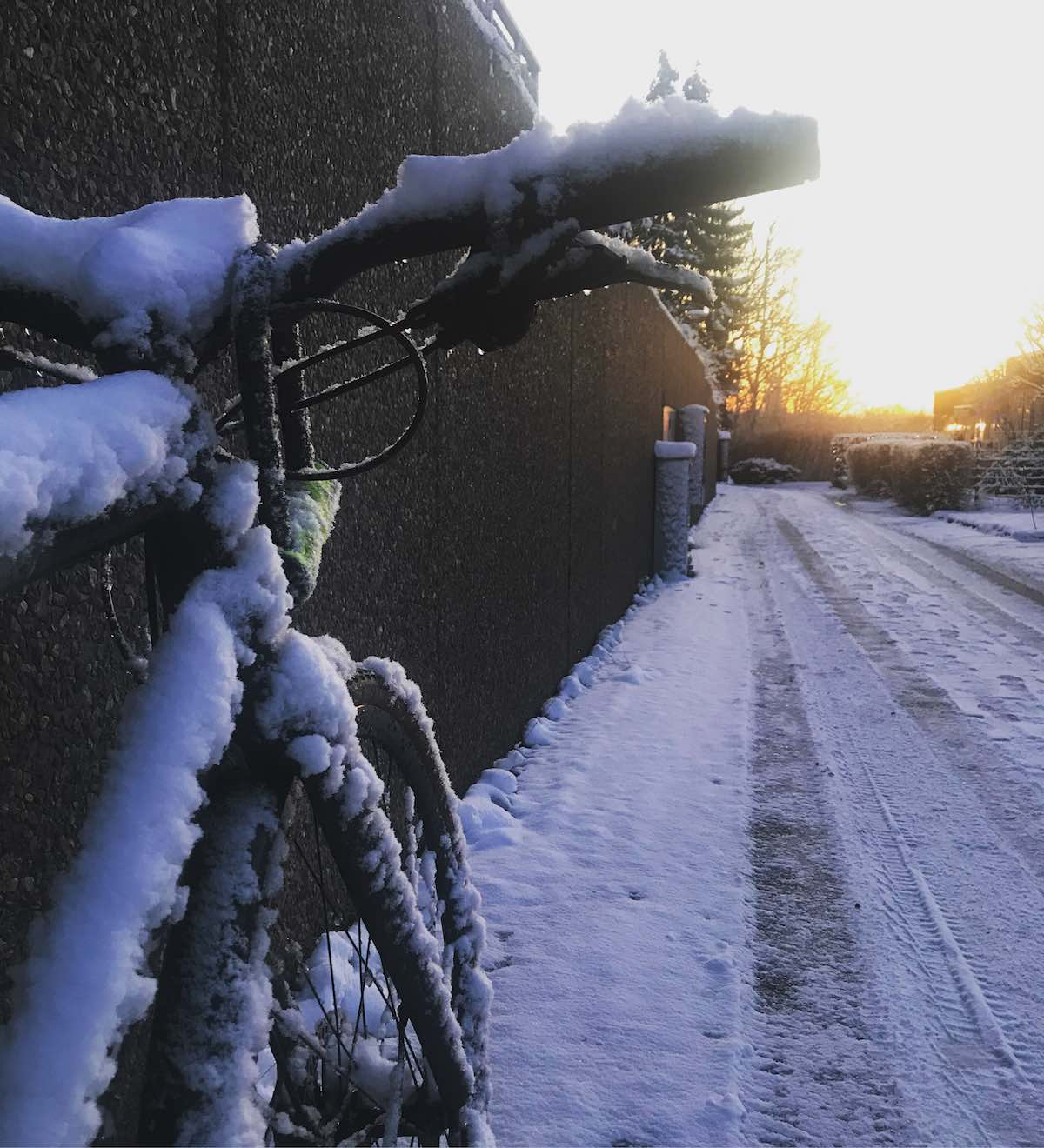 bikerumor pic of the day bicycle leaning against a wall with frost on it and snow on the road with the sun peaking out in the distance.