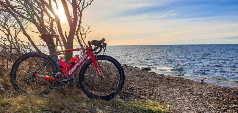 bikerumor pic of the day red cervelo road bike on the island of Öland, Sweden, laying against barren trees near the rocky beach.