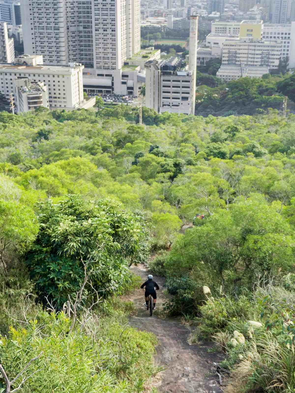 bikerumor pic of the day mountain biker riding trail from top of tree filled mountain into large city of Taipei, Taiwan, below.