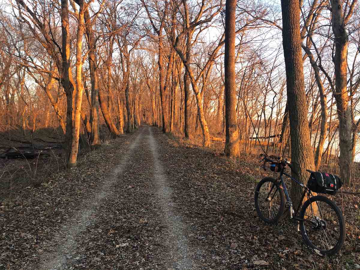 bikerumor pic of the day biking the C&O Canal towpath in brunswick maryland. bicycle leaning against tree beside a dirt path with rows of trees on either side, sun shining through the trees.