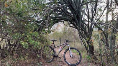 Bikerumor Pic Of The Day: Culiacán – Sinaloa, Mexico