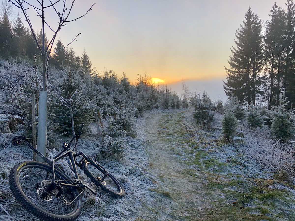 bikerumor pic of the day mountain bike riding in bern switzerland, mountain bike sitting alongside trail with pine trees along each side and frost and light dusting of snow on everything. sunrise peeking out at the bottom of a grey sky.