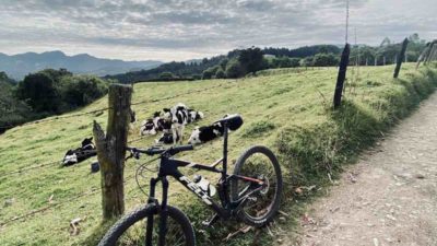 Bikerumor Pic Of The Day: Bogota, Colombia