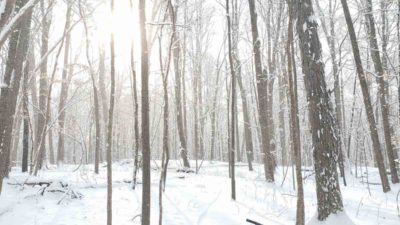 Bikerumor Pic Of The Day: Novi, Michigan