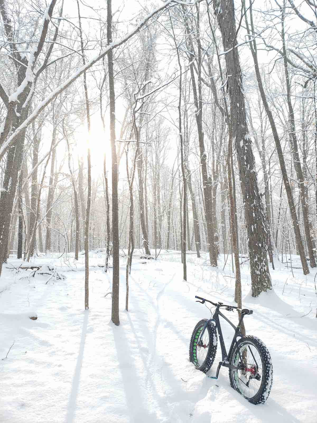 bikerumor pic of the day fat bike in the snow in the woods surrounded by bare trees and winter sun glowing in the background.