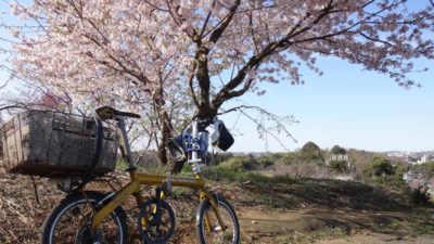 Bikerumor Pic Of The Day: Midoriyama, Japan