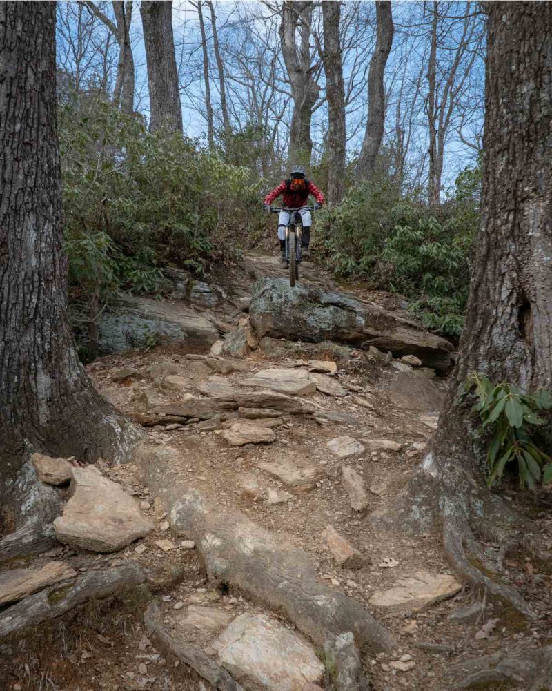 bikerumor pic of the day mountain bike rider heading toward the camera down a rocky and rooty bennett gap trail in pisgah national forest in north carolina.
