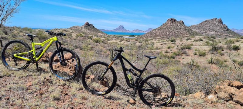 bikerumor pic of the day san carlos mexico. Two mountain bikes on el soldado trail, posed among the scrub with the sea of cortez in the distance and tetakawi mountain behind that.