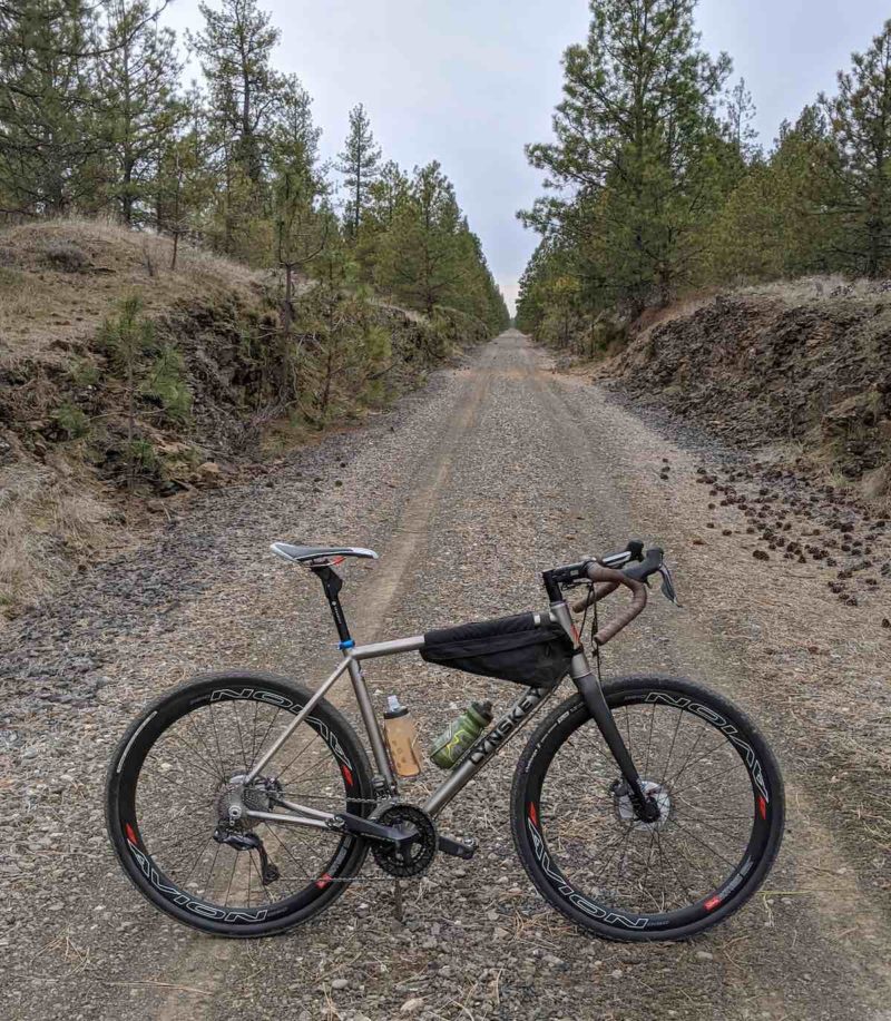 bikerumor pic of the day Spokane, Washington, lynskey bicycle posed on gravel road with pine forest on either side