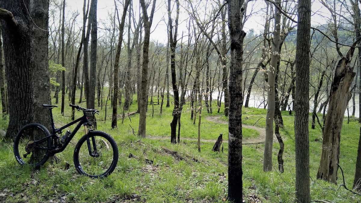 bikerumor pic of the day black mountain bike leaning against tree in woods with grass growing and april fools curvy trail and water in the background