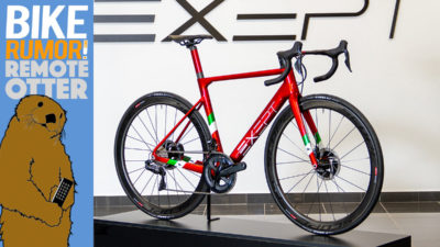 Exept adds full custom paint & graphics on their custom carbon road bikes [Remote Otter]