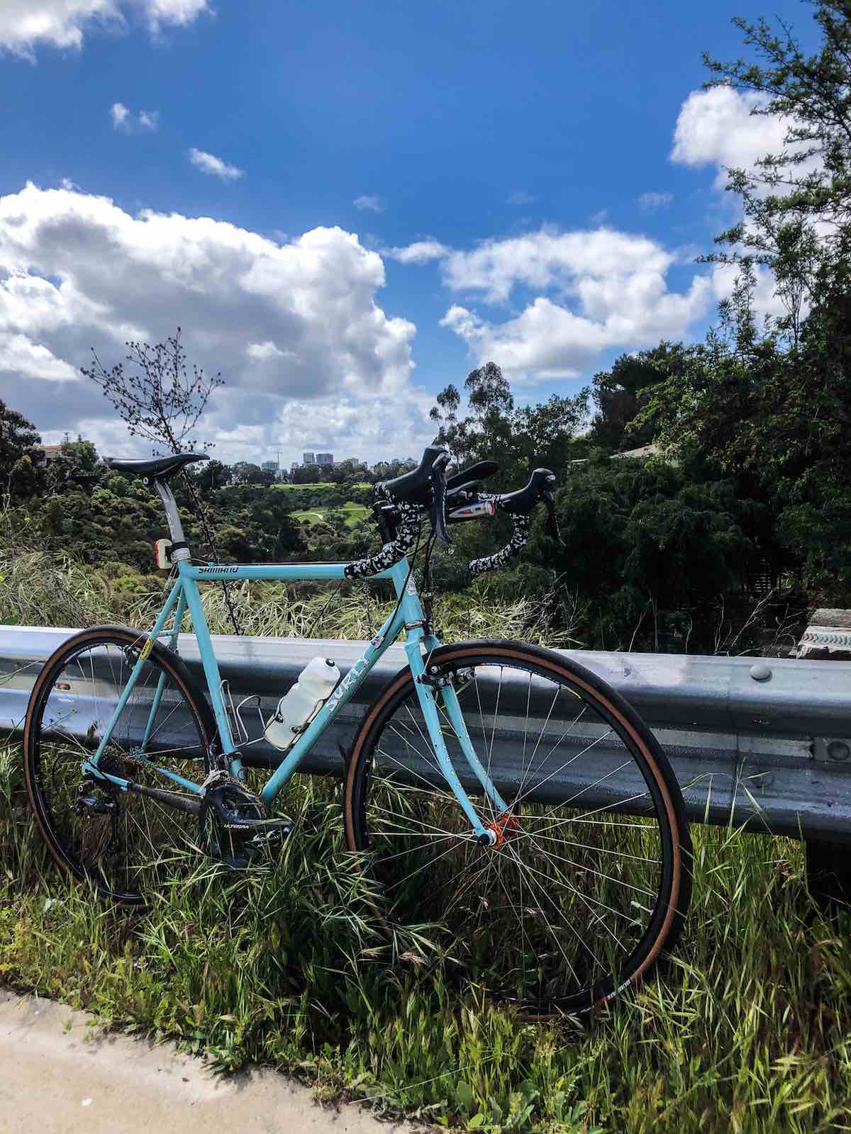 bikerumor pic of the day surly bicycle leaning against road barrier with vegetation and san diego skyline in the distance.