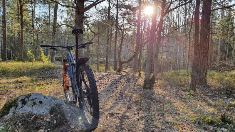 bikerumor pic of the day hellasgarden stockholm sweden, mountain bike on a wooded trail with the morning sun peeking through the trees.