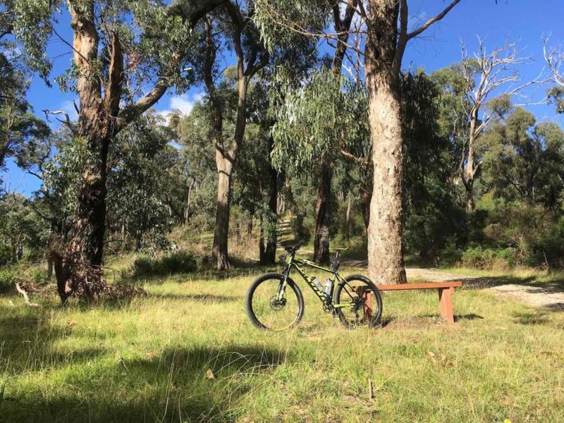 bikerumor pic of the day scott scale in the middle of dandenong ranges national park in melbourne australia. mountain bike is in a grassy area with large trees surrounding.