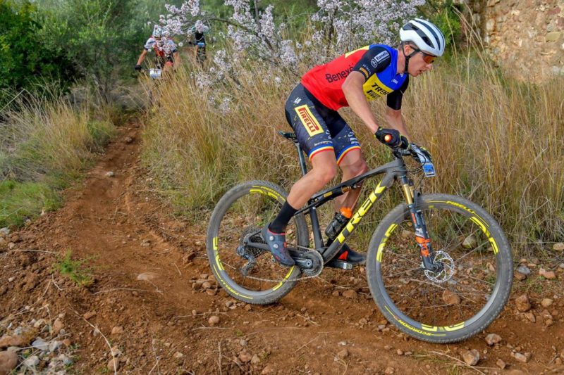 Pirelli Scorpion XC RC mountain bike cross-country race tire
