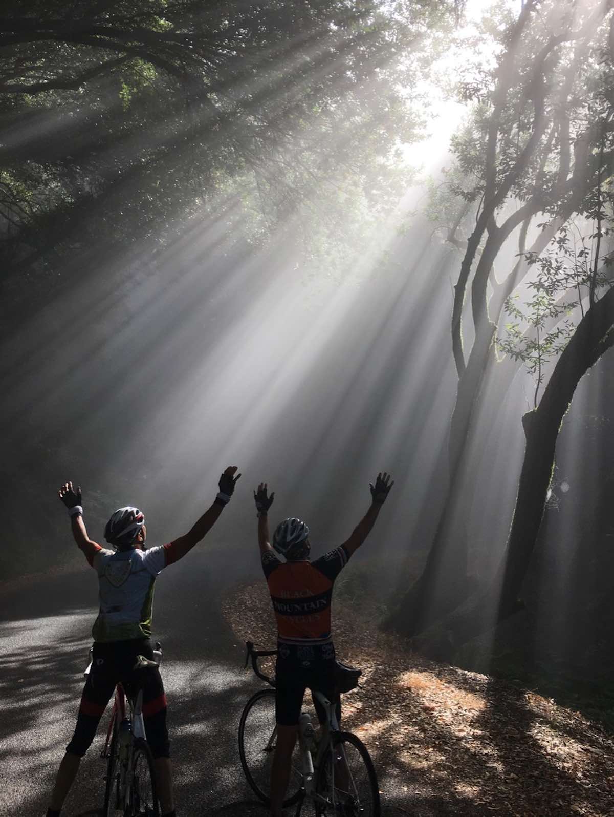 bikerumor pic of the day two cyclists with their arms up towards the rays of sunshine peering through the tree canopy over the road to mount tamalpais in marin county california.