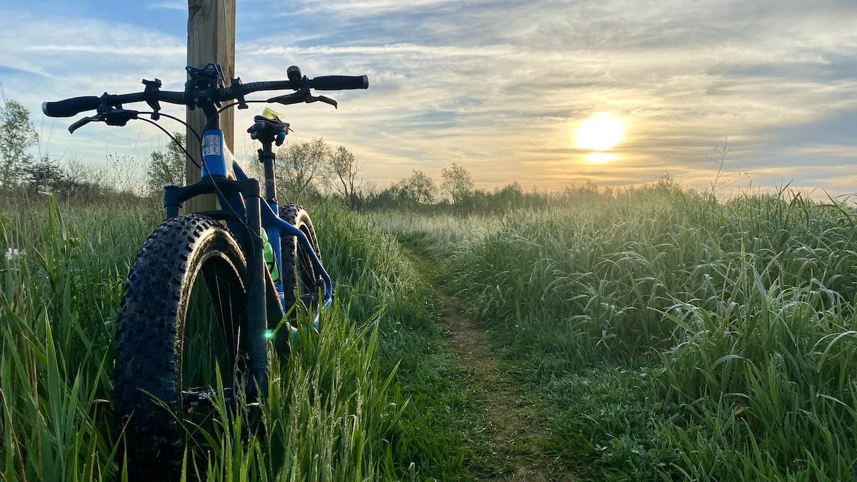 bikerumor pic of the day fat tire bicycle leaning against a wood trail marker amidst the tall grass with morning dew and rising sun.