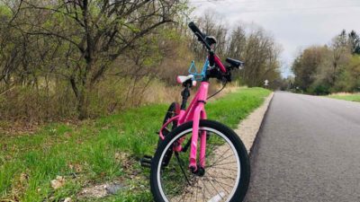 Bikerumor Pic Of The Day: Williamston, Michigan