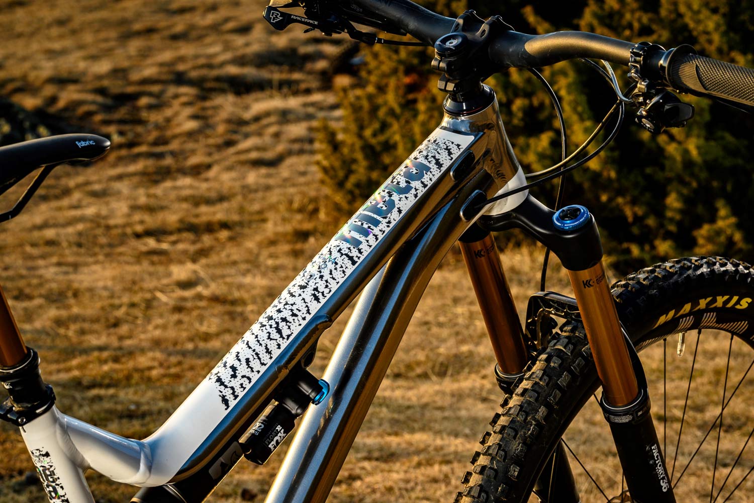 2020 Commencal Meta AM 29 Worlds Edition enduro bike, special edition affordable 160mm 29 alloy enduro trail all mountain bike
