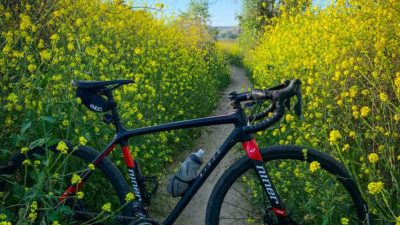 Bikerumor Pic Of The Day: Orange, California