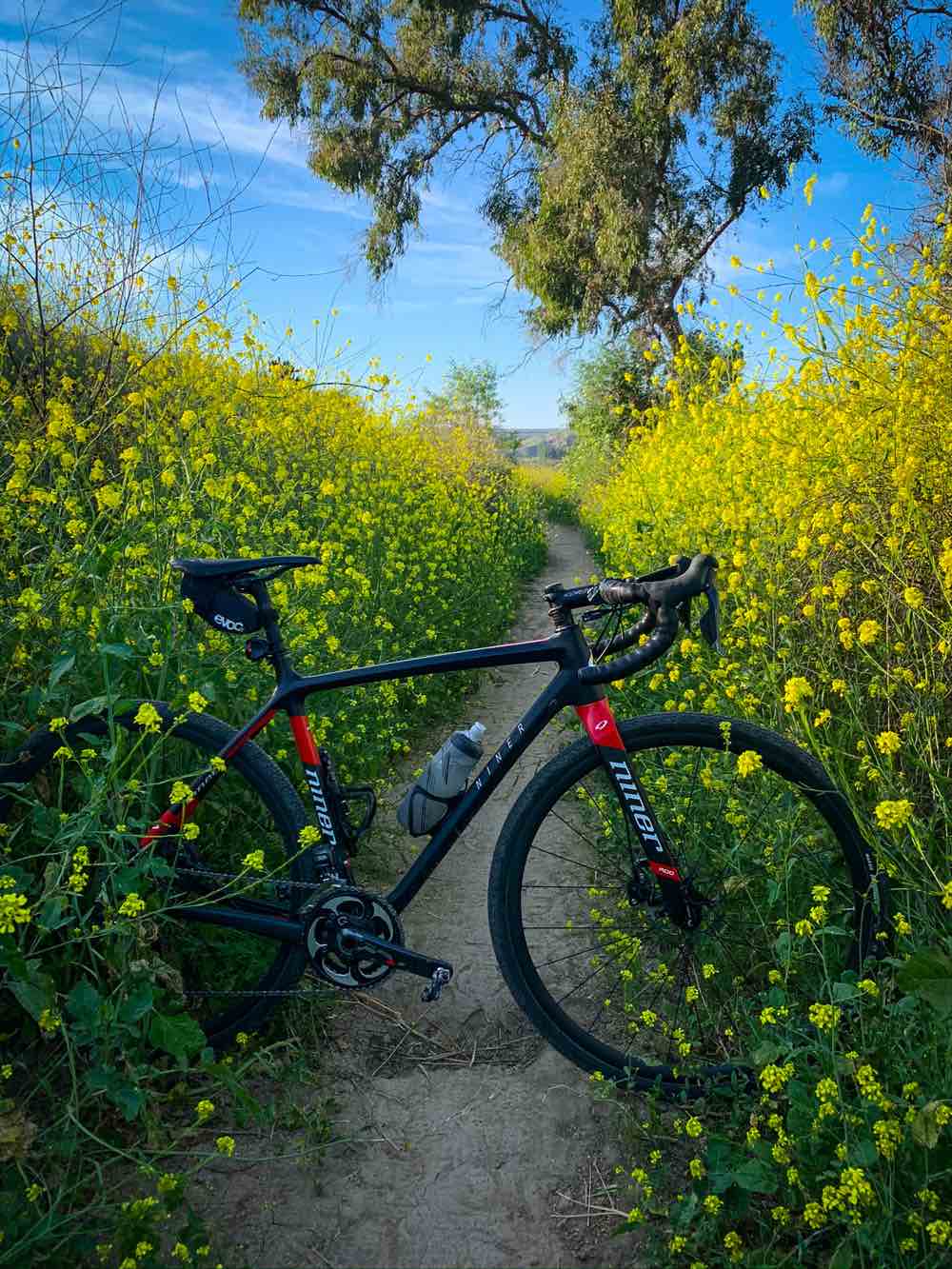 bikerumor pic of the day niner bicycle across a dirt path surrounded by mustard plants in full bloom in irvine regional park in orange california.