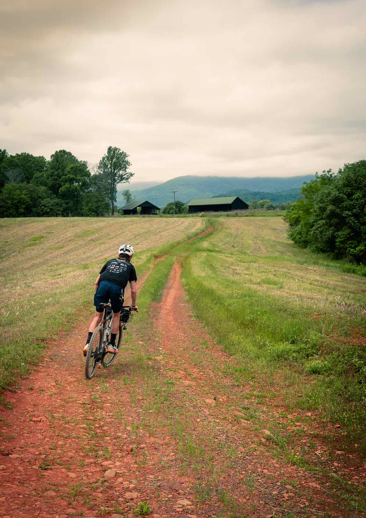 bikerumor pic of the day cyclist on dirt road with grassy field on either side and trees and barn in the distance.