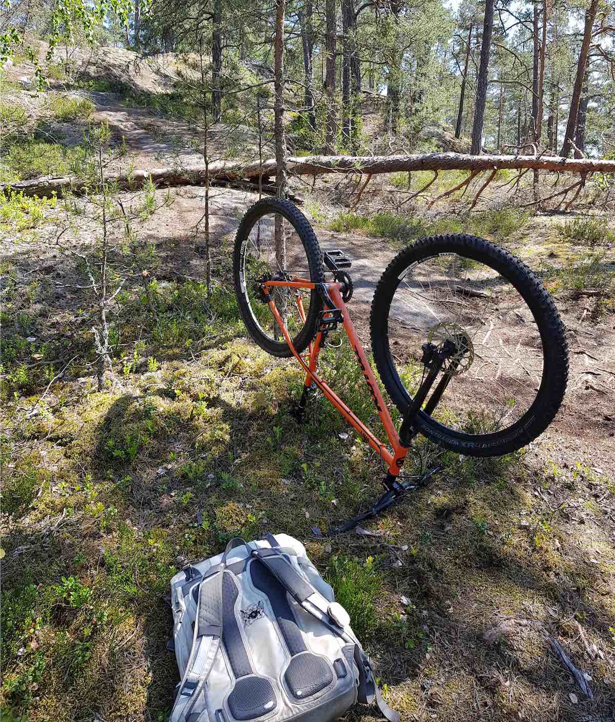 bikerumor pic of the day Hellasgården, Stockholm, sweden, bike being fixed next to a trail in the woods with a log crossing it.