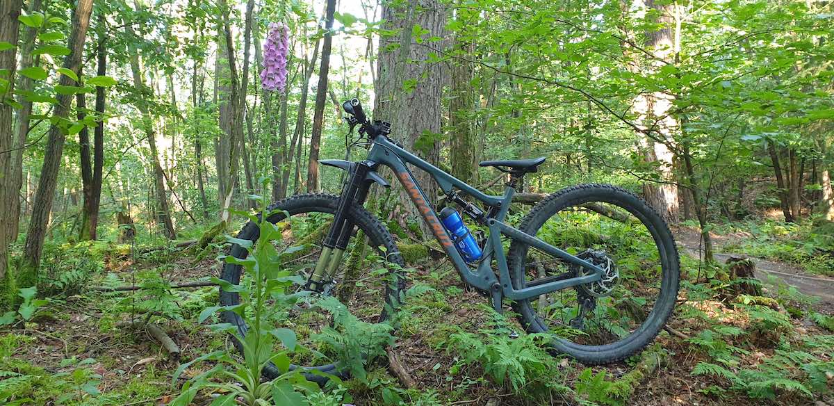 bikerumor pic of the day santa cruz mountain bike on a dirt trail in the middle of the green woods outside nuremberg germany