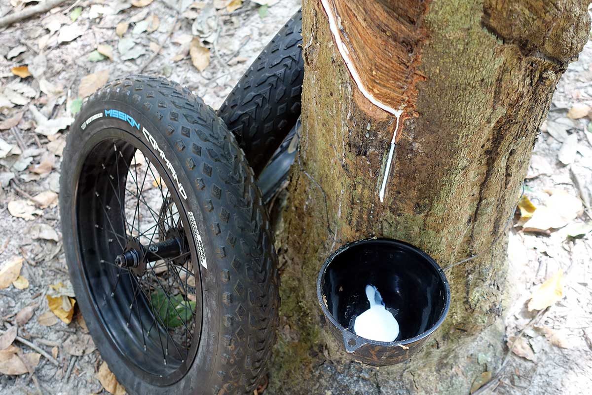 how vee tire co gets latex sap from their rubber trees to create bicycle tires