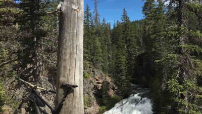 Bikerumor Pic Of The Day: North Fork Trial, Oregon