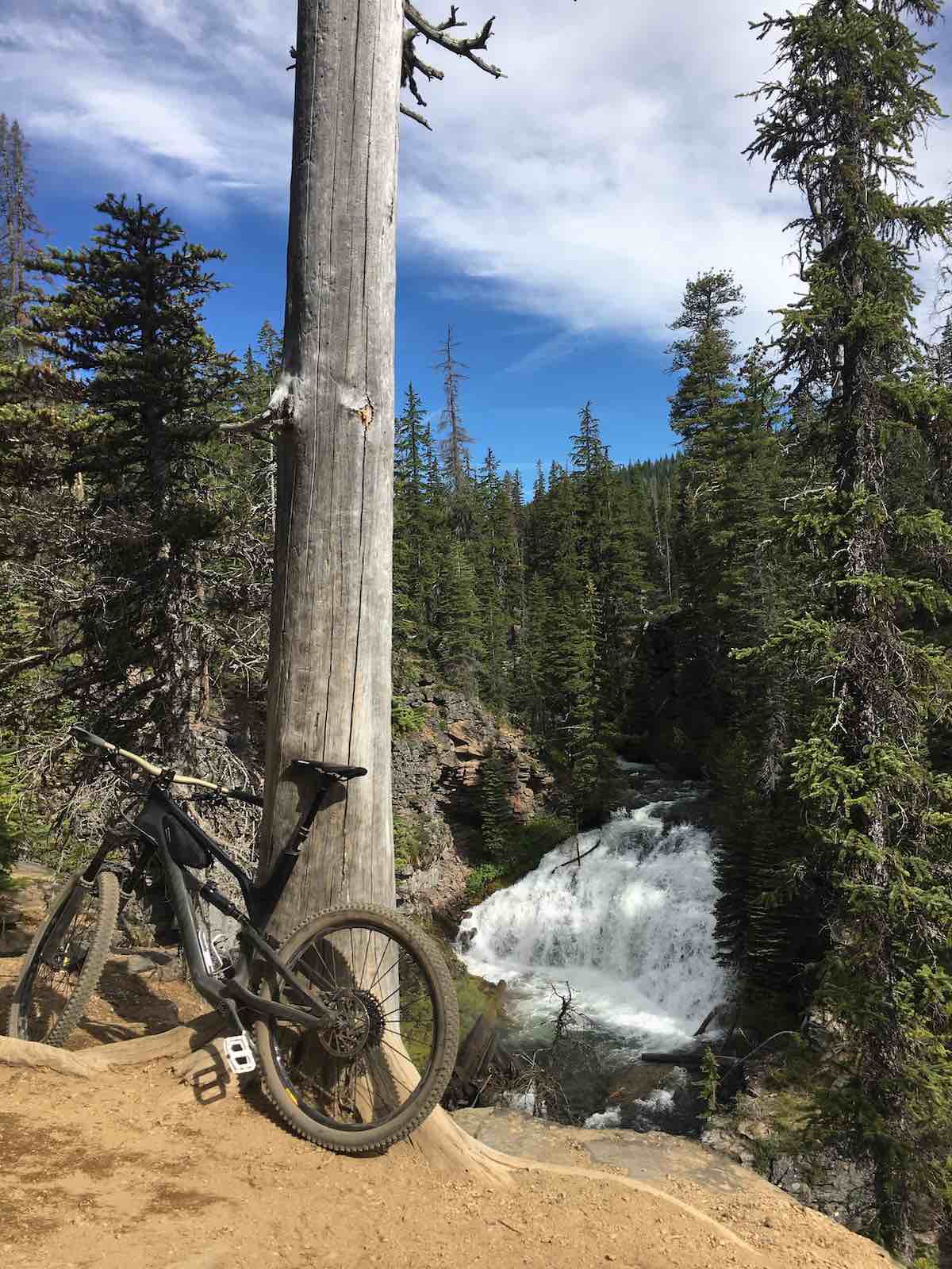 bikerumor pic of the day mountain biking north fork trail oregon near bend bike leaning against tree near a waterfall surrounded by tall evergreen trees
