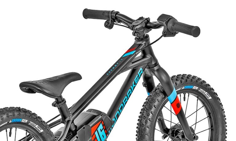 emtb for kids