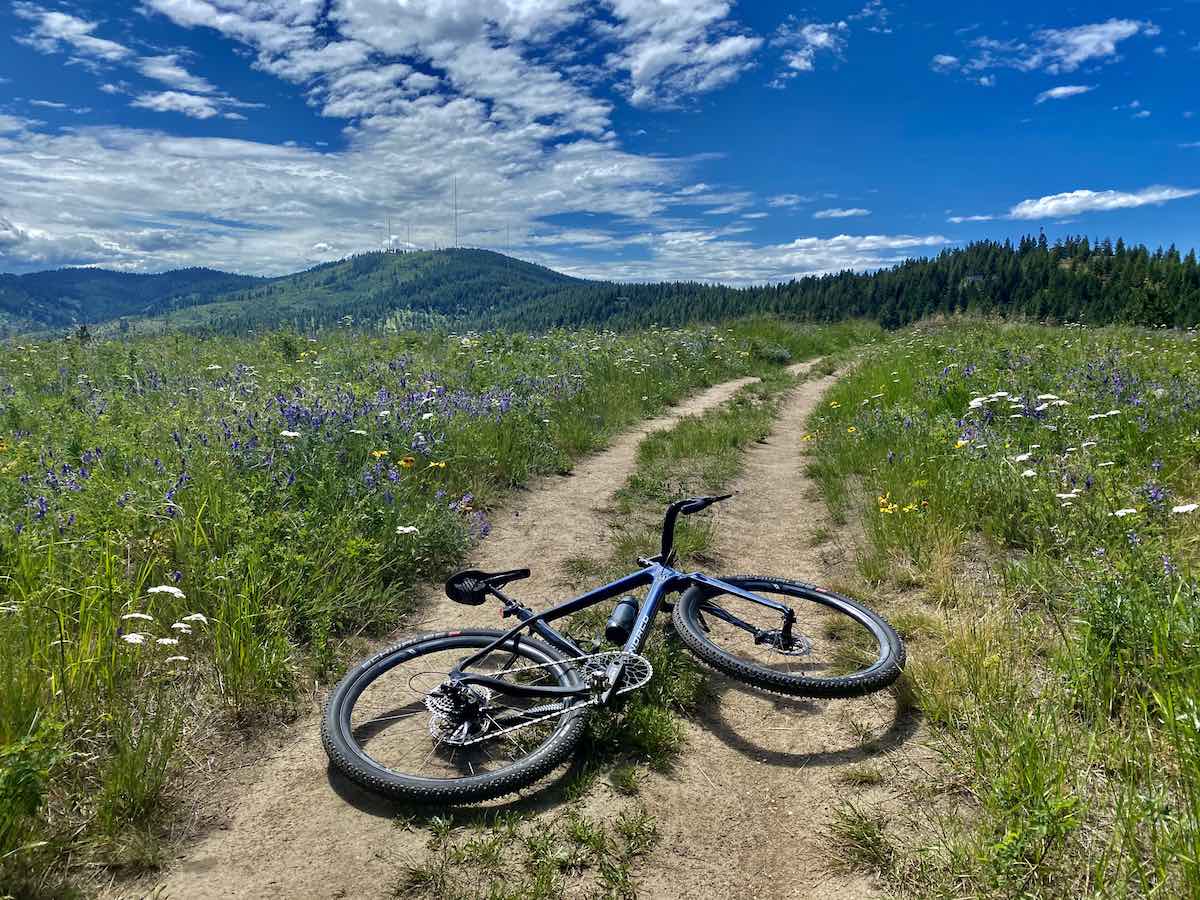 bikerumor pic of the day bicycle laying on dirt car path among flower fields in spokane washington