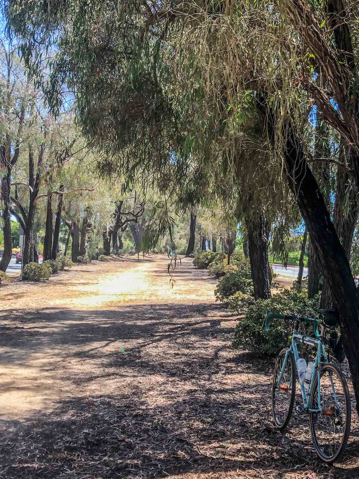 bikerumor pic of the day torrey pines california