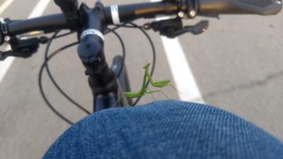 Bikerumor Pic Of The Day: Fort Wayne, Indiana