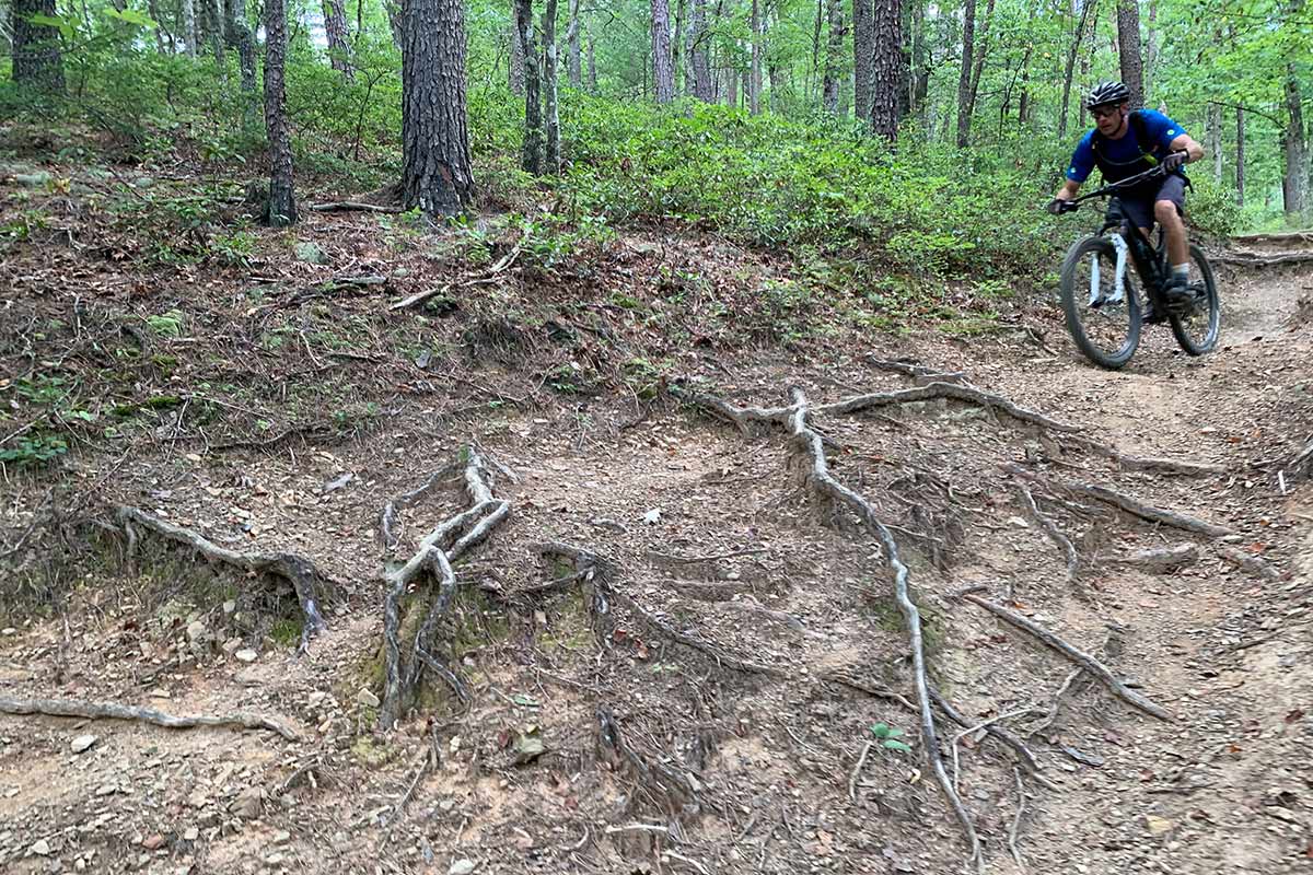 riding mountain bikes at carvins cove trails near roanoke virginia