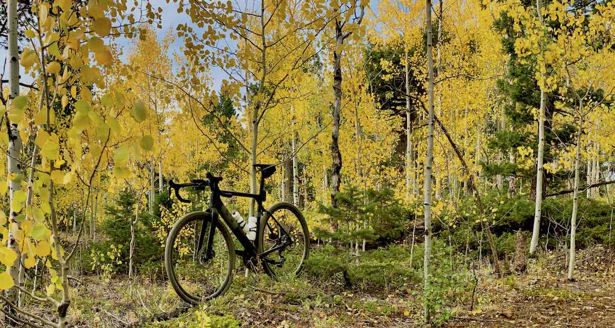 bikerumor pic of the day 3T explore bicycle leaning against yellow aspen trees and green underbrush on the switzerland trail in colorado.