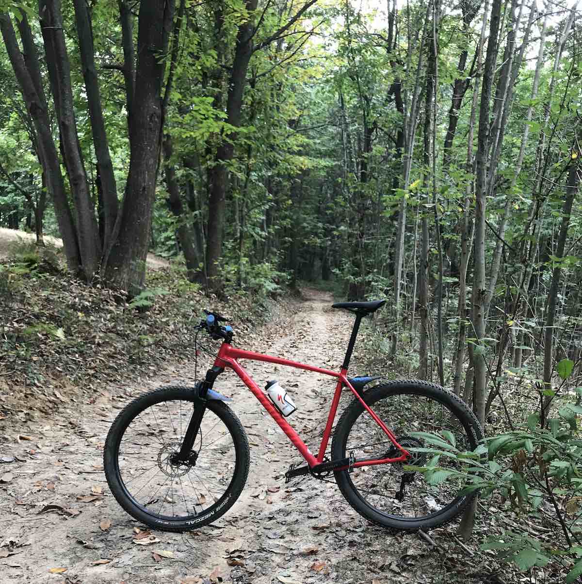bikerumor pic of the day specialized mountain bike on a dirt path through dense woods in northern italy.