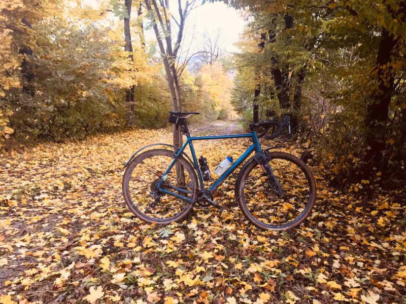 bikerumor pic of the day vienna austria, bicycle on fallen leaves of yellow and brown