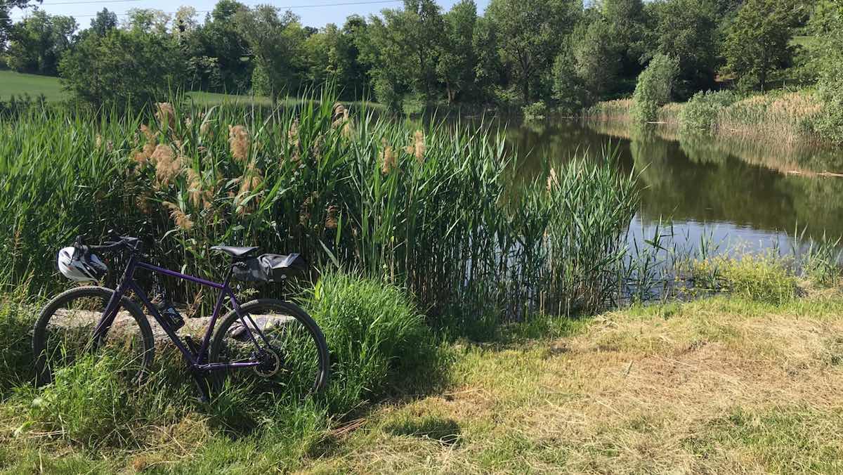 bikerumor pic of the day, cotic escapade bicycle in the reeds near a reservoir in Desenzano del Garda italy