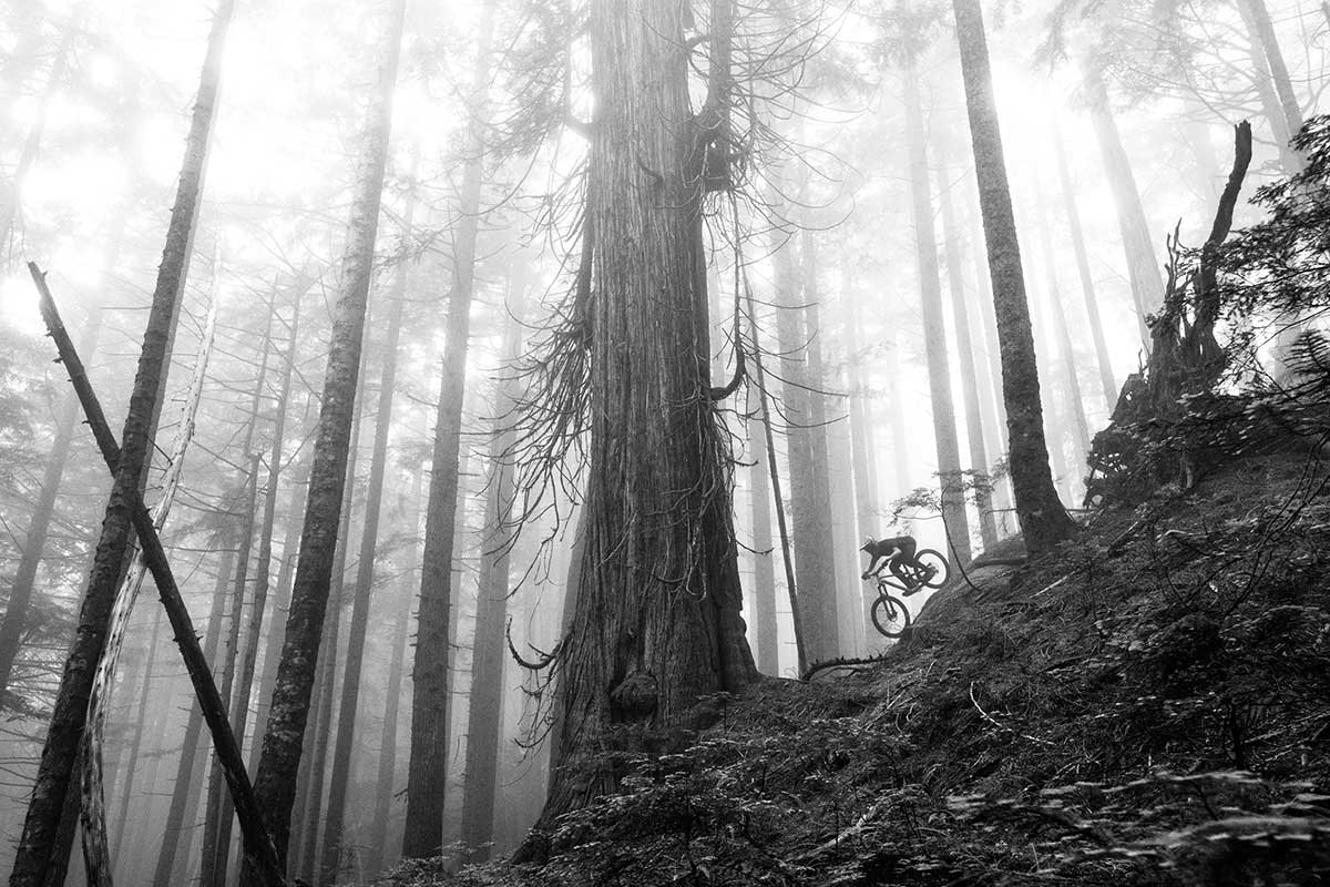 riding steep british columbia trails gloomy woods norco high pivot bike