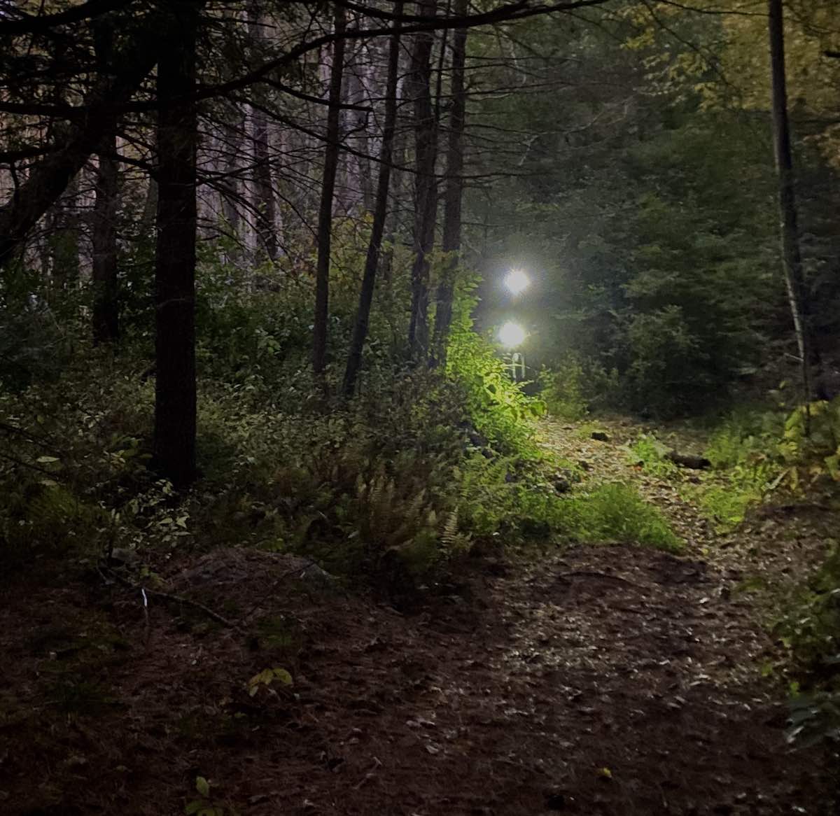 bikerumor pic of the day Boxford State Forest, Massachusetts, a cyclist appears on a trail in the forest with only bike lights showing as dusk settles in.